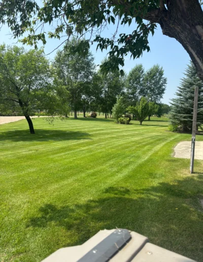 Eastman Yard Care Projects